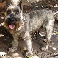 Austin