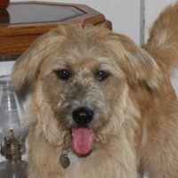 Charlie