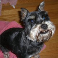 Libby